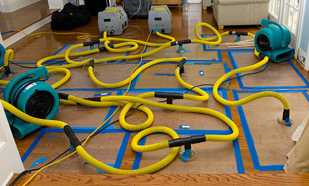 Professional Sewage Cleanup technician working in West Newton, MA